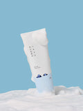 Round Lab 1025 Dokdo Cleanser